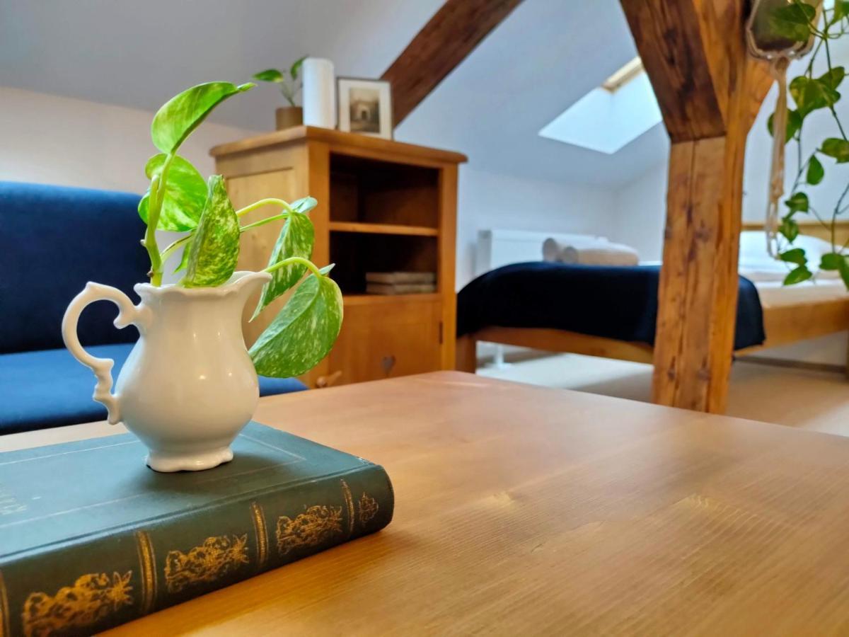 Casa David Ferenc Haz Hotel Deva Eksteriør billede